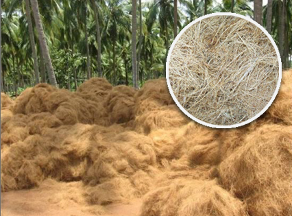 fibre de coco écologique