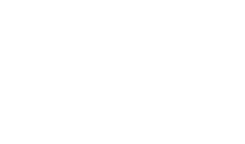 White logo Tricel image